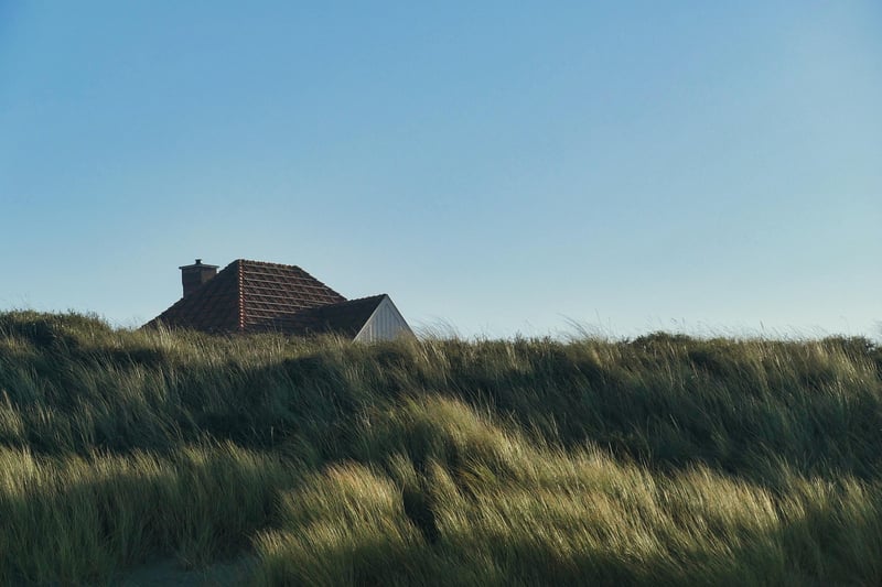 Netherlands Landscape